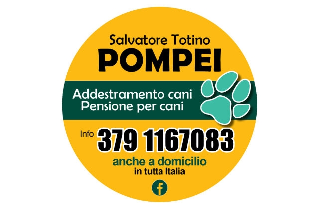 Totino Addestramento E Pensione Per Cani